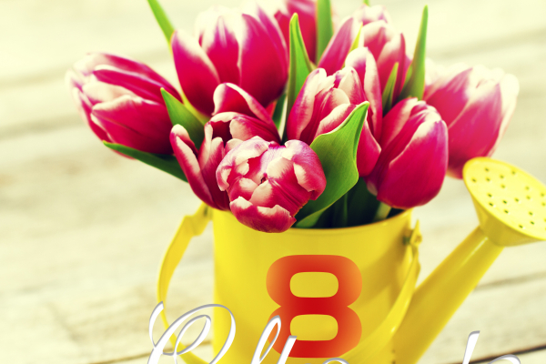 Милые, любимые наши дамы! Примите искренние поздравления с самым красивым праздником Весны – 8 марта!